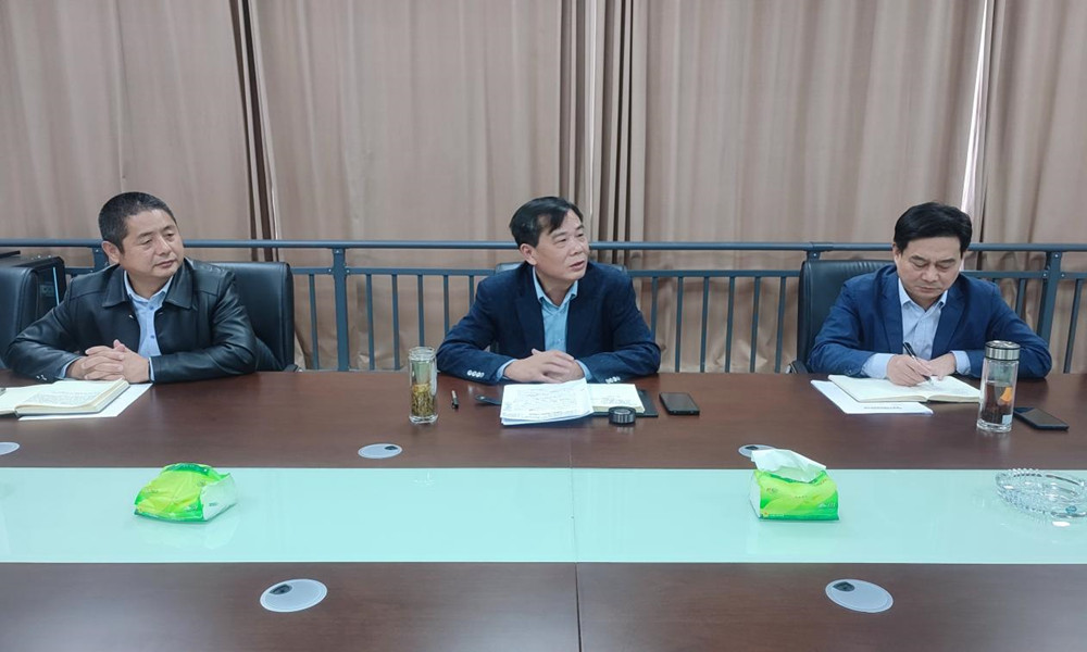 �y�ֹ��M(j��n) ͬ�����h(yu��n)������˾�e��2022���T������Ӗ(x��n)